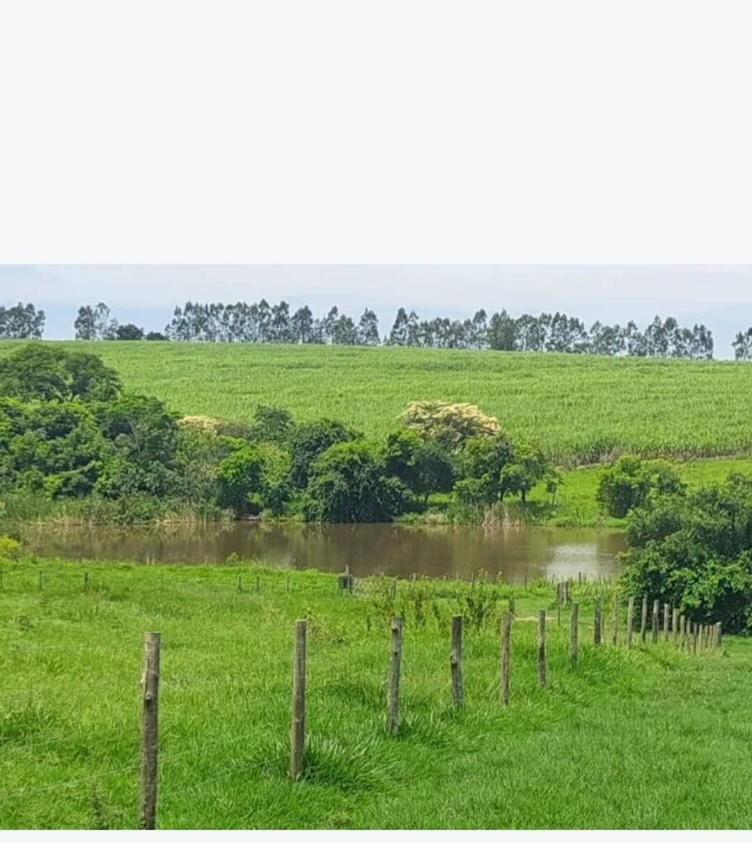 #FA-24154 - Fazenda para Venda em Turiúba - SP