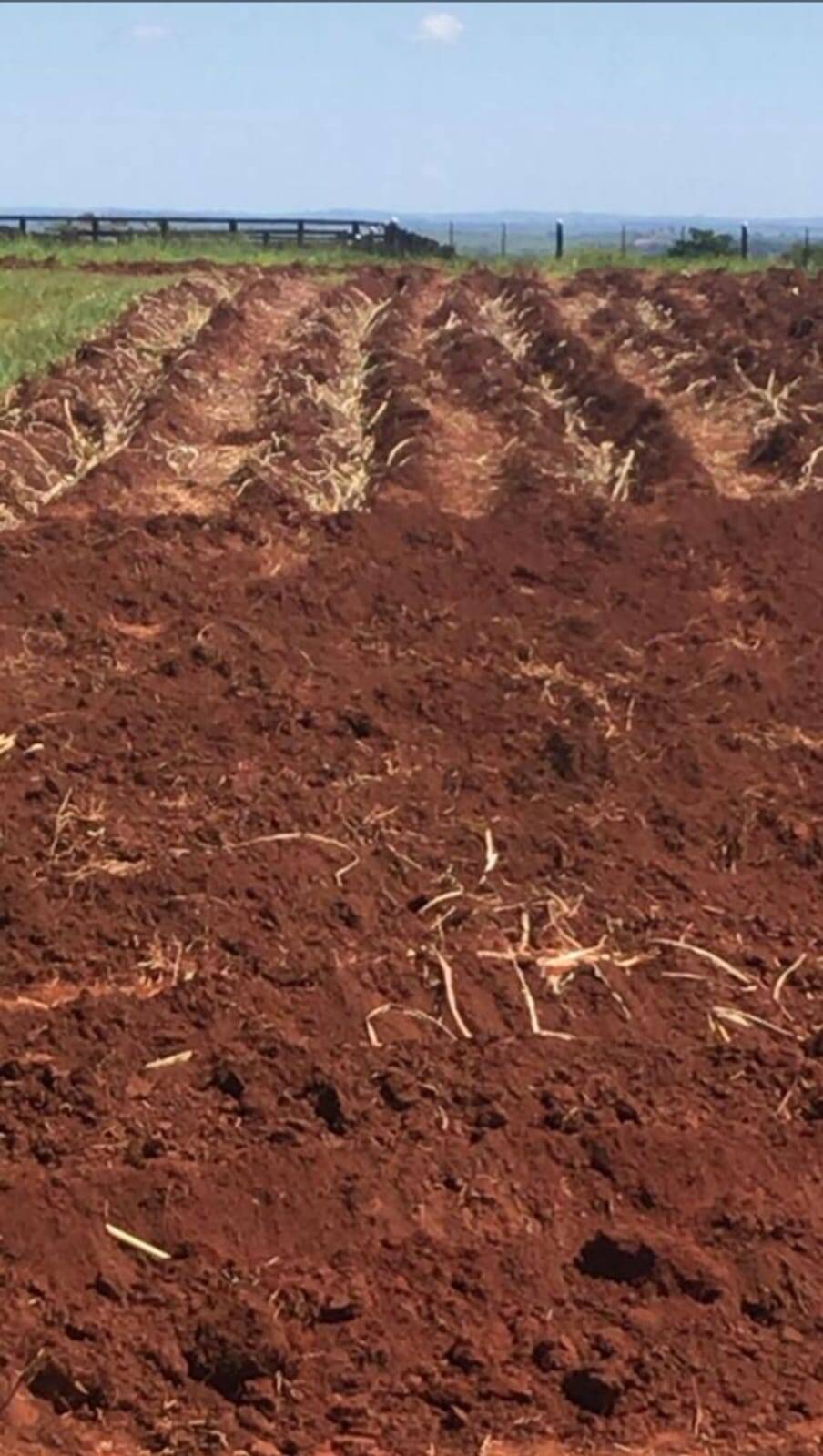 #FA-24152 - Fazenda para Venda em General Salgado - SP