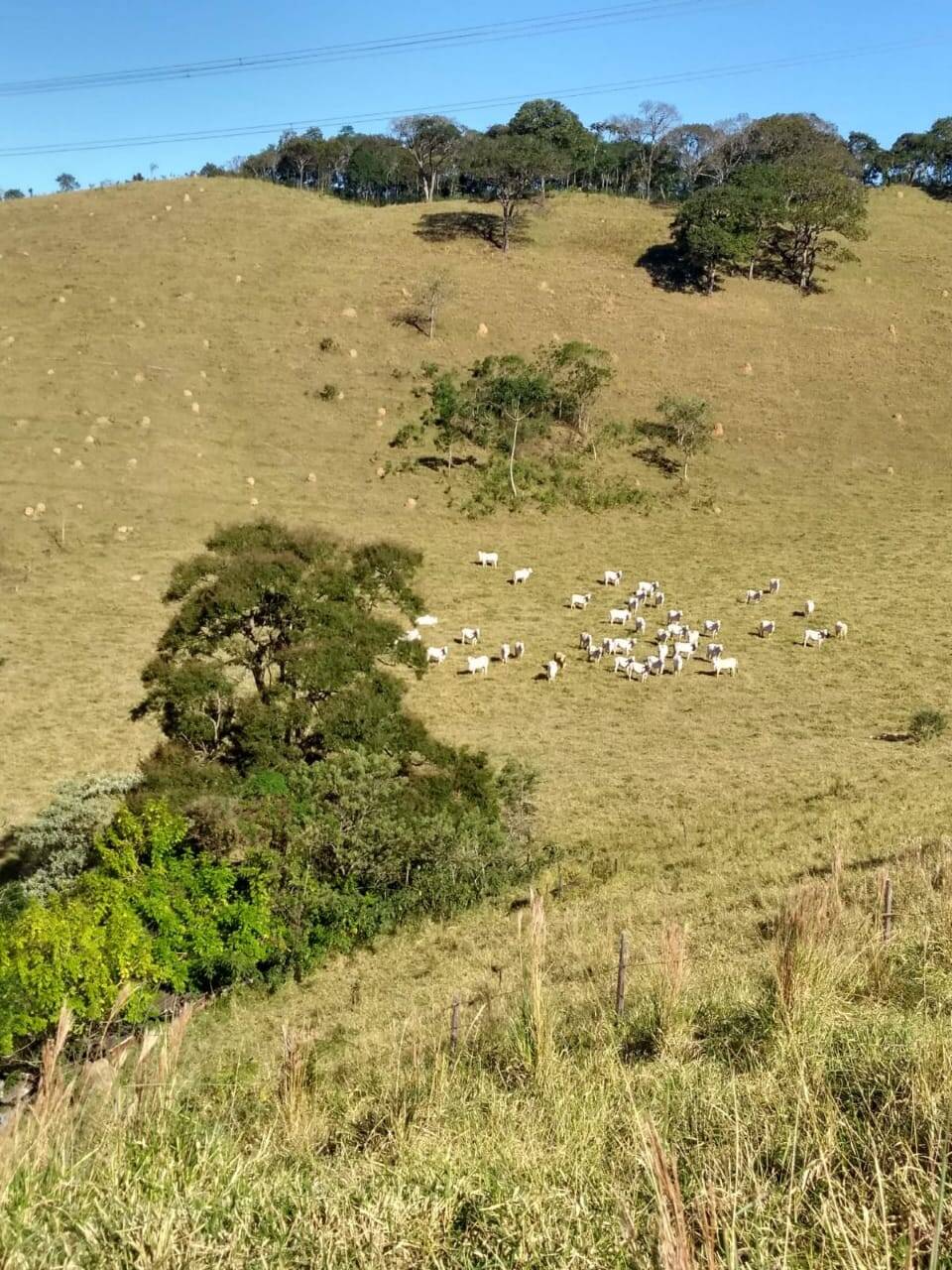 #SI-25192 - Sítio para Venda em Igaratá - SP