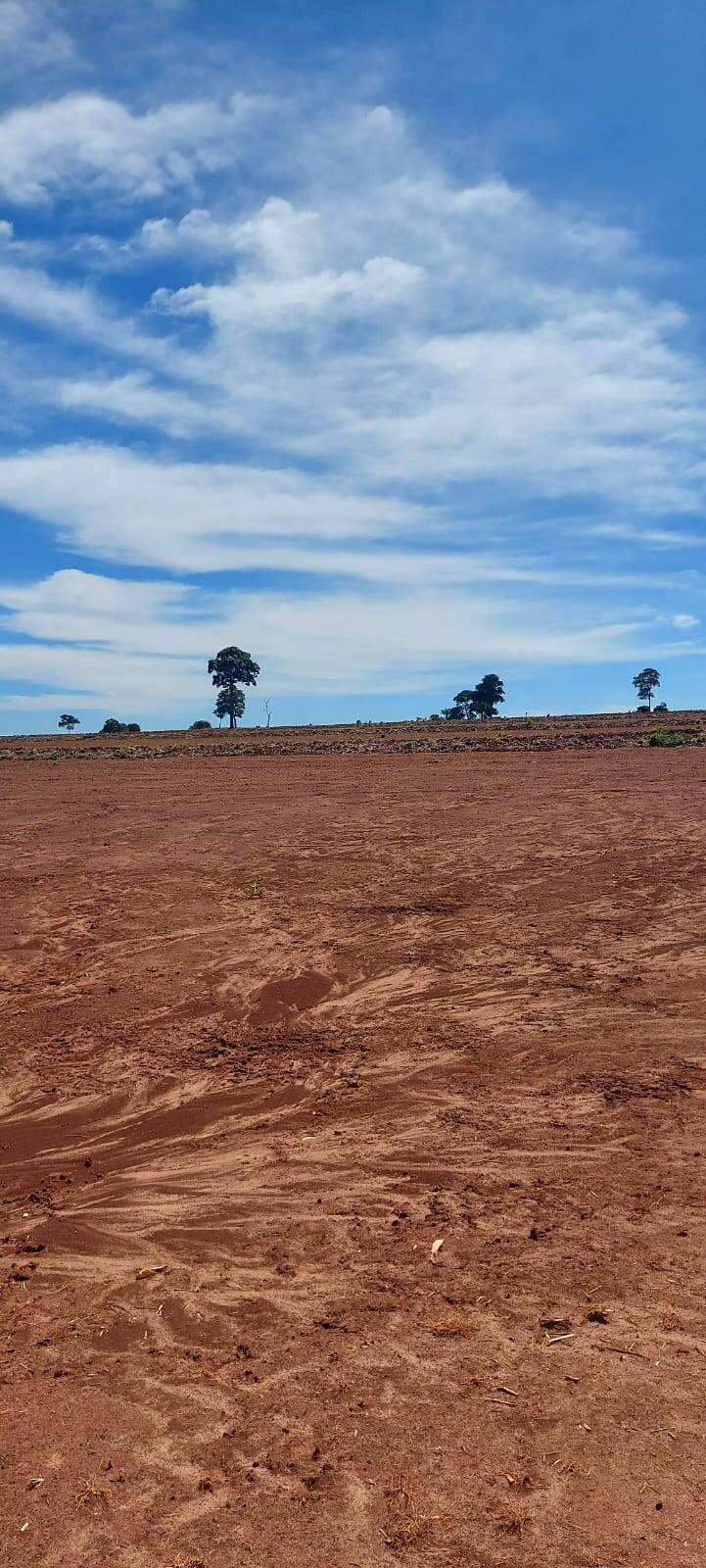 #FA-25234 - Fazenda para Venda em Araçatuba - SP
