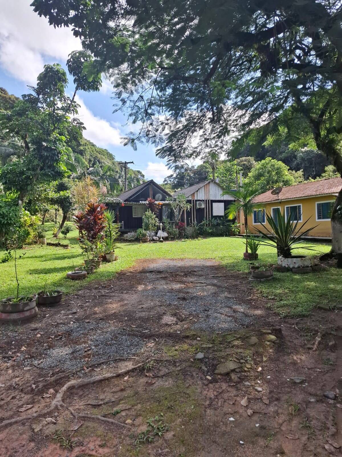 #FA-25257 - Fazenda para Venda em Sete Barras - SP