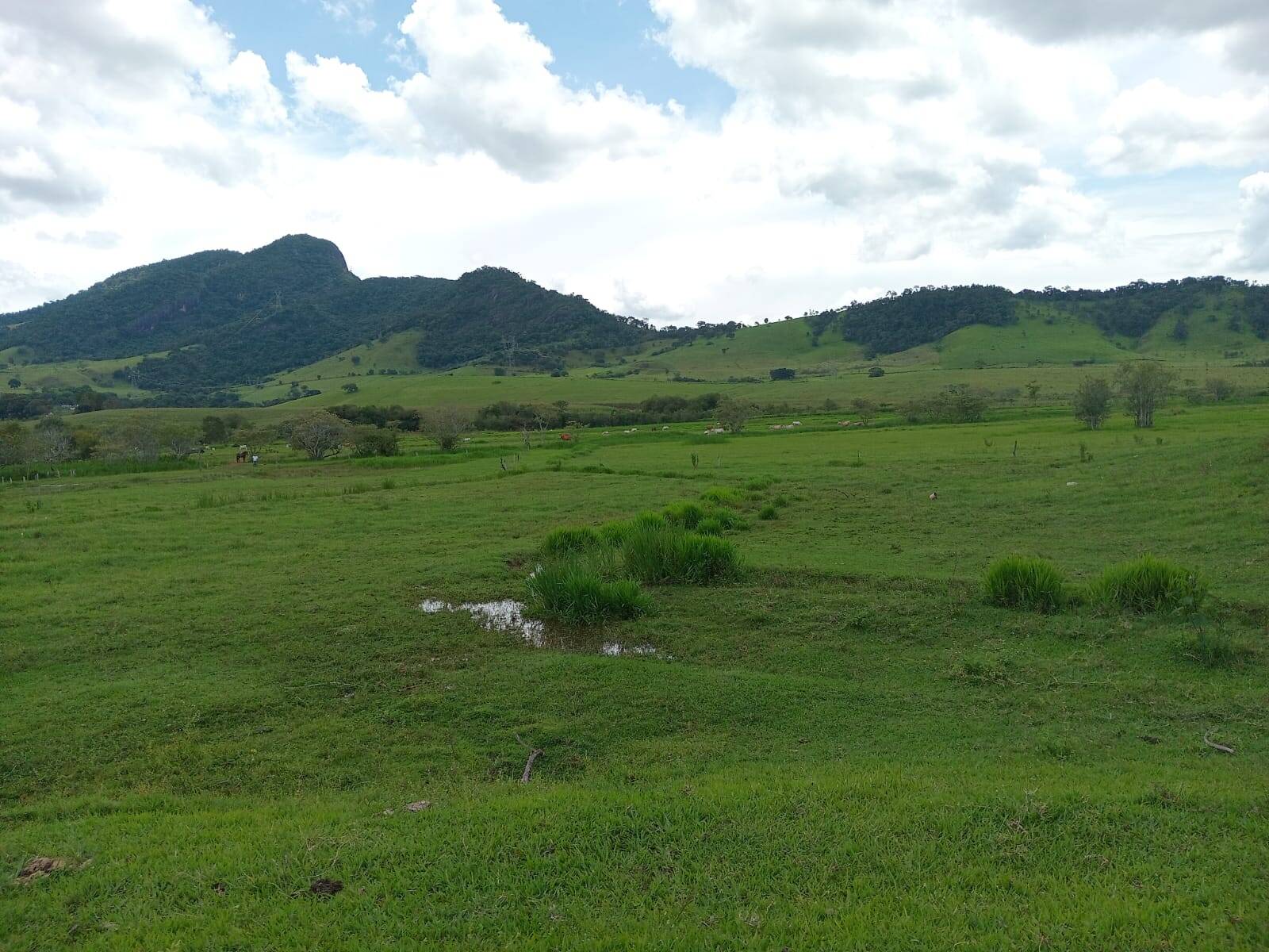 #FA-25264 - Fazenda para Venda em Itajubá - MG