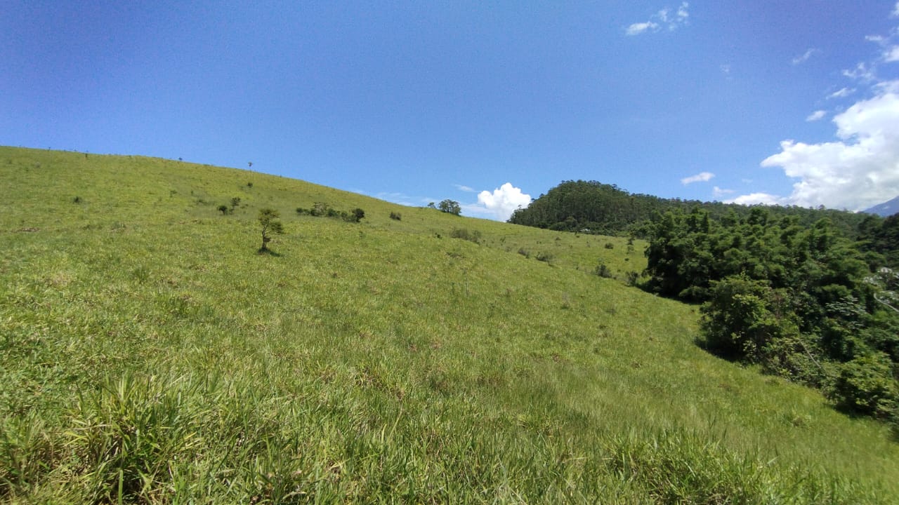 #FA-25269 - Fazenda para Venda em Cruzeiro - SP