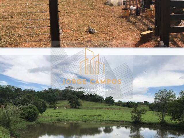 #FA-24152 - Fazenda para Venda em General Salgado - SP