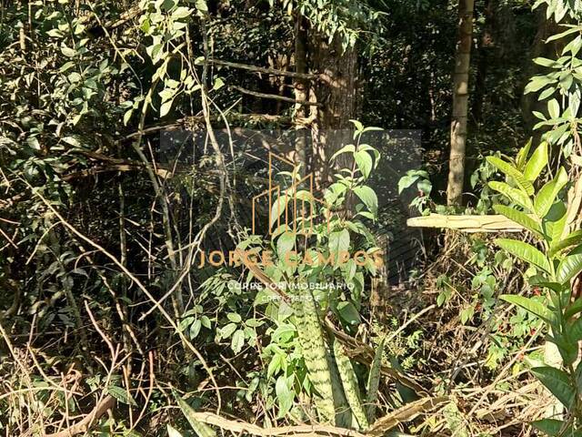 #TE-25241 - Terreno para Venda em Jambeiro - SP