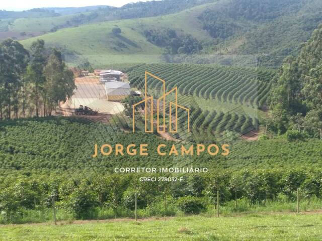 #FA-25259 - Fazenda para Venda em Lambari - MG