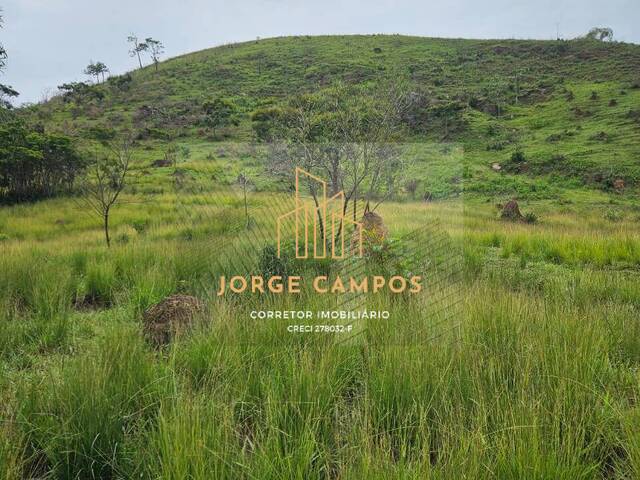 #PE-25211 - Fazenda para Venda em Lavrinhas - SP