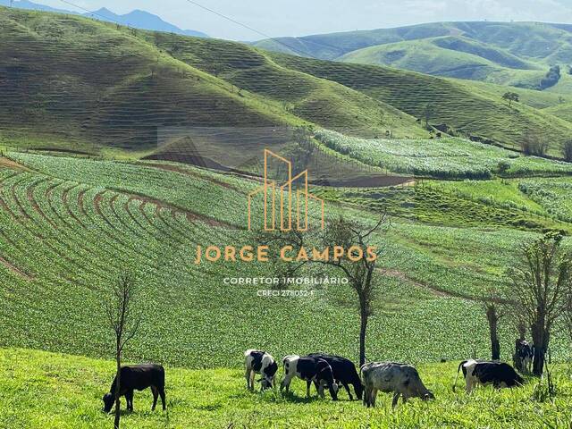 #FA-26259 - Fazenda para Venda em São José do Barreiro - SP