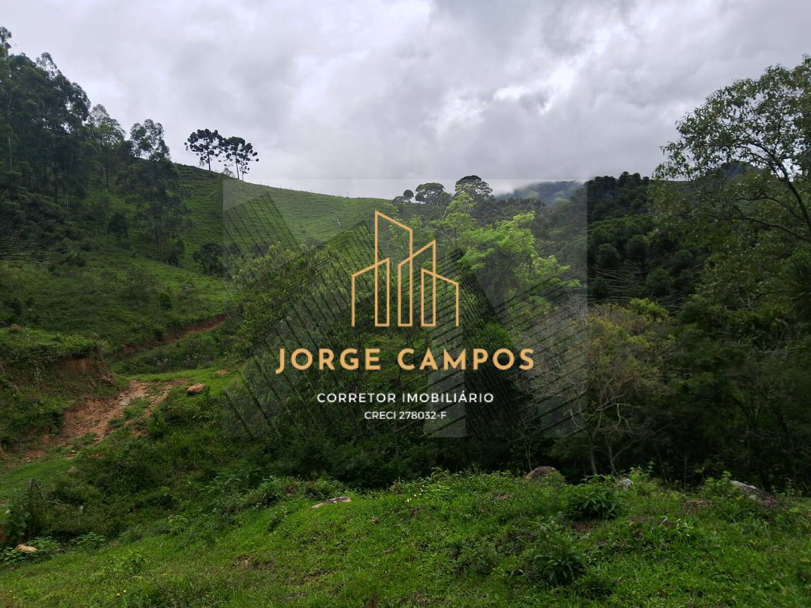 Sítio à venda com 3 quartos, 30000m² - Foto 3