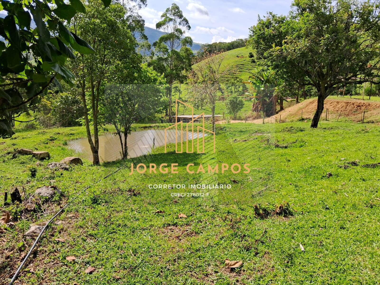 Sítio à venda com 3 quartos, 30000m² - Foto 4