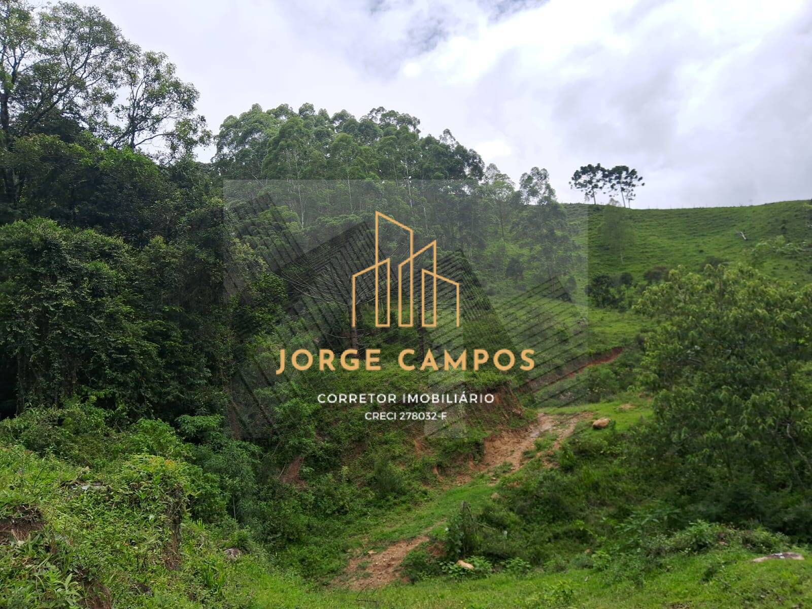 Sítio à venda com 3 quartos, 30000m² - Foto 6