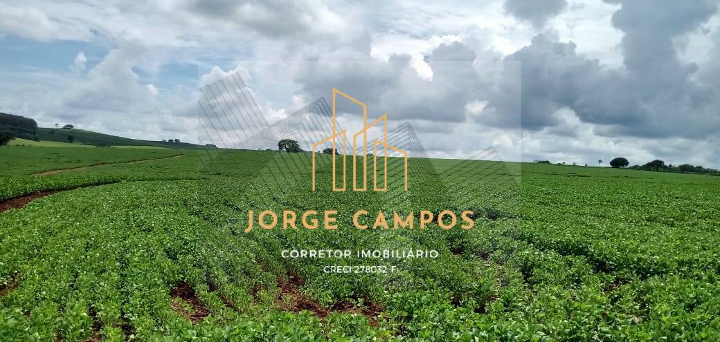 Fazenda, 300 m² - Foto 5