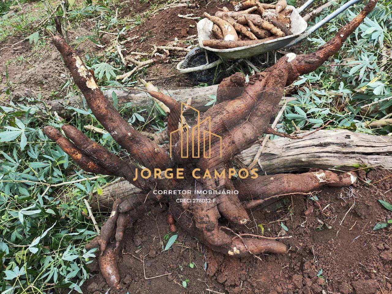 Chácara, 4 quartos, 3 hectares - Foto 29