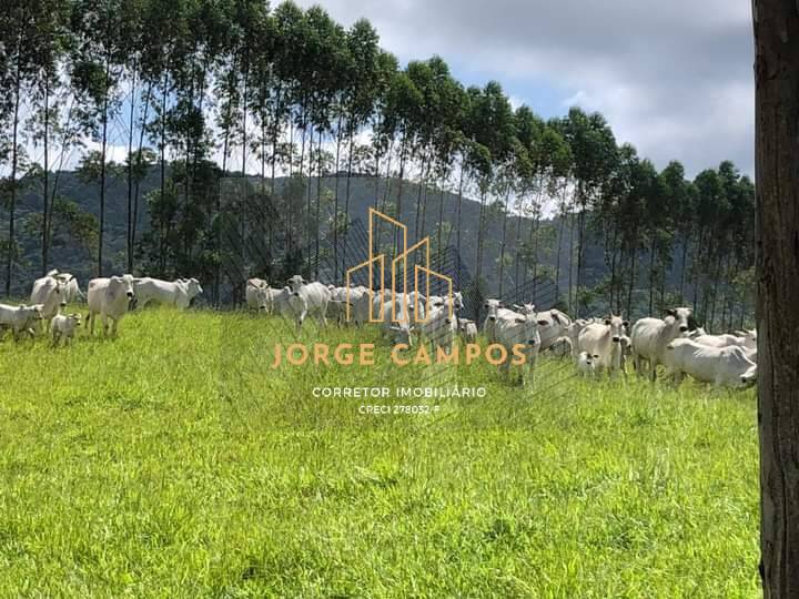 Fazenda, 200 m² - Foto 4