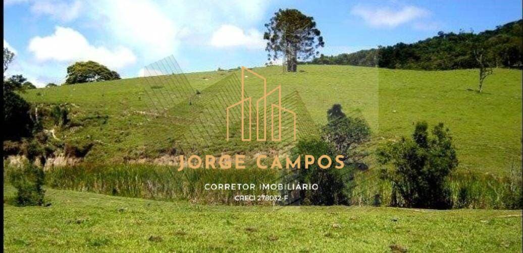 Fazenda, 200 m² - Foto 34