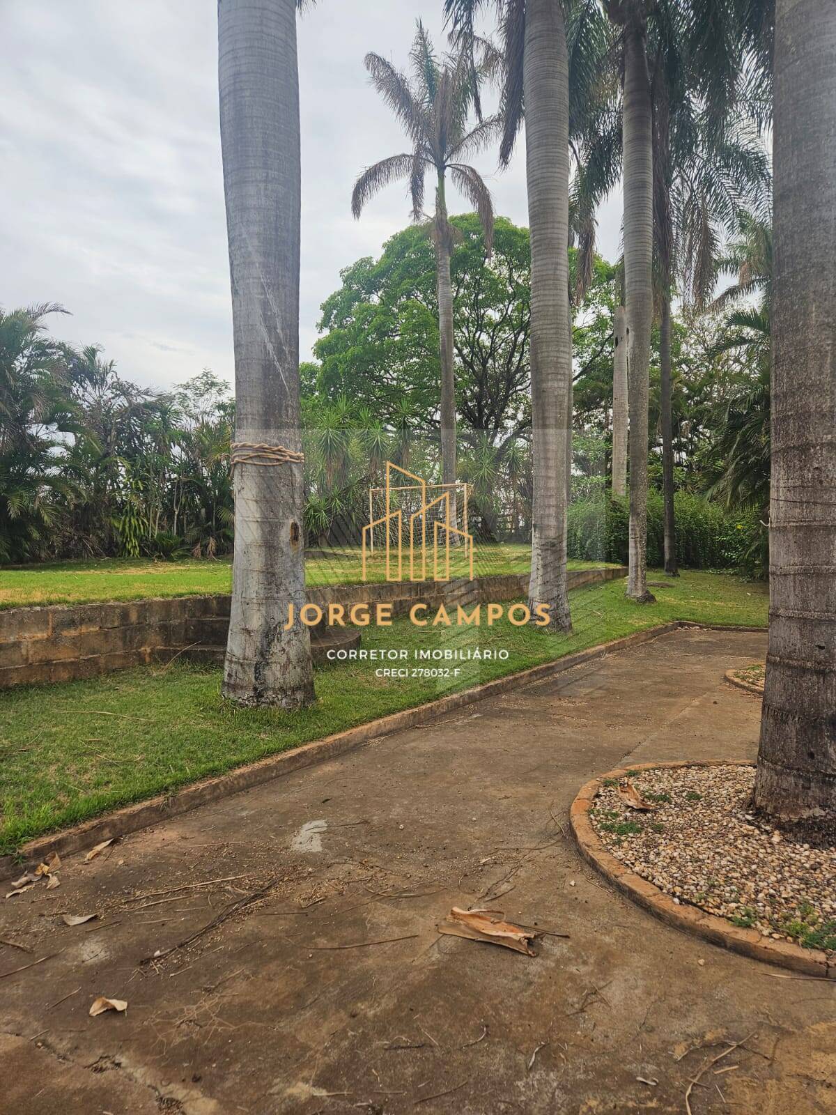 Fazenda à venda com 4 quartos, 53m² - Foto 4
