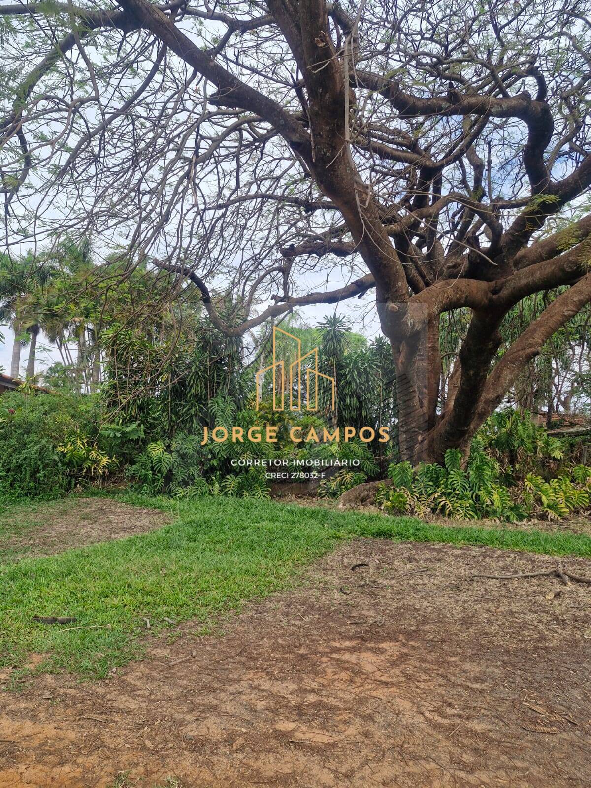 Fazenda à venda com 4 quartos, 53m² - Foto 6