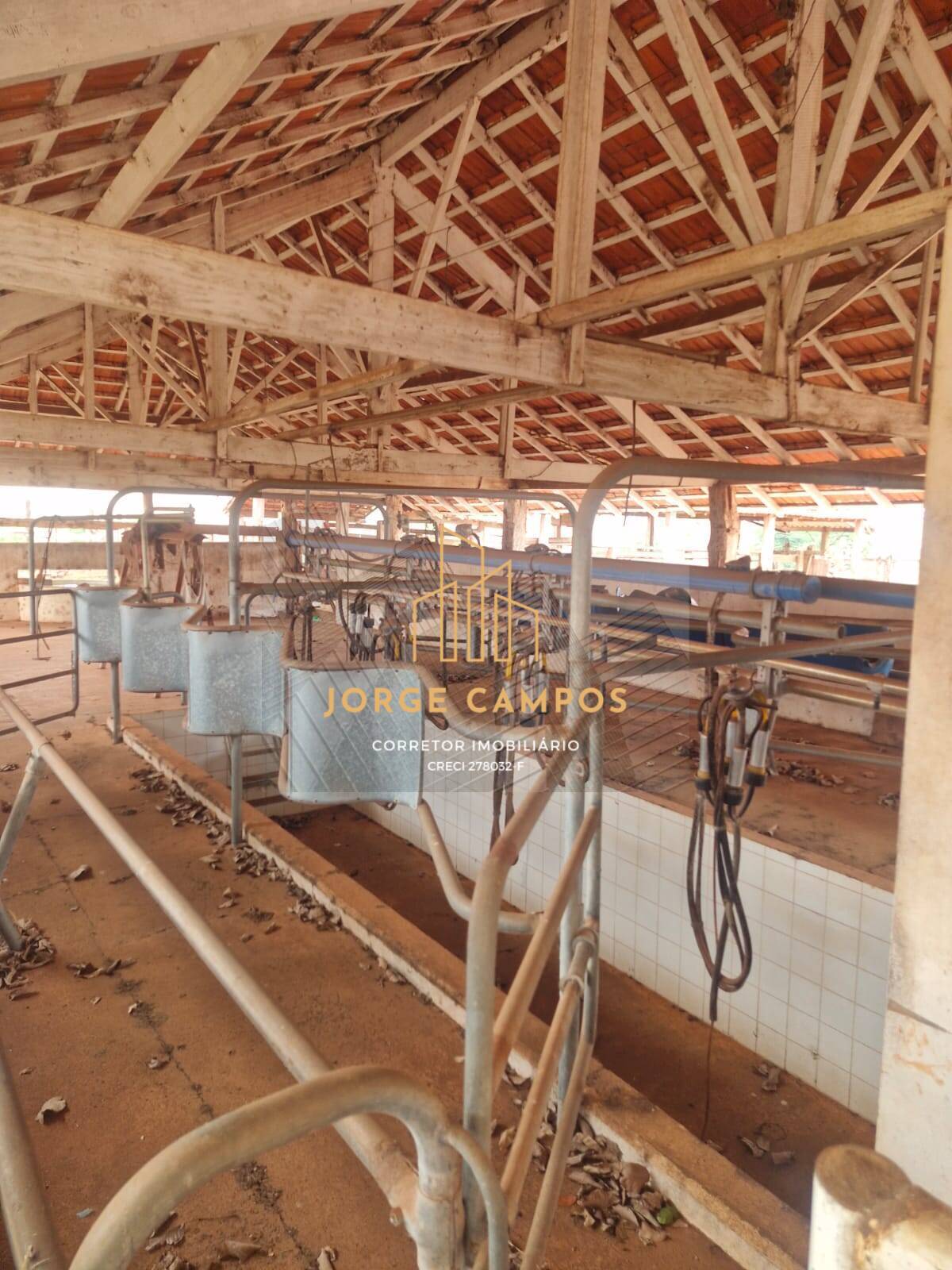 Fazenda à venda com 4 quartos, 53m² - Foto 15