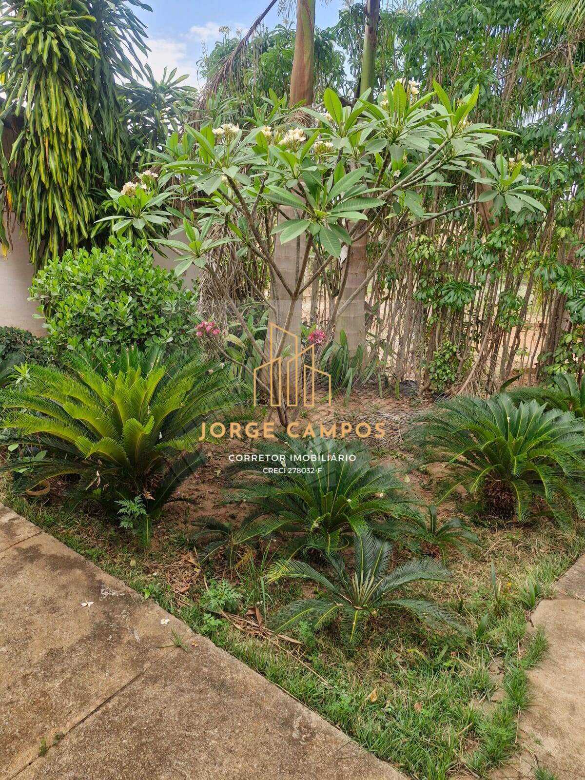 Fazenda à venda com 4 quartos, 53m² - Foto 47