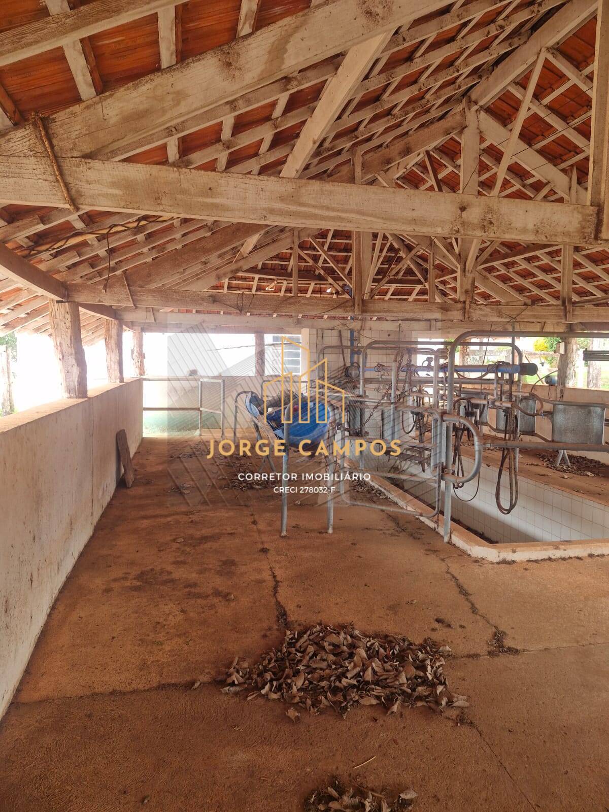 Fazenda à venda com 4 quartos, 53m² - Foto 14