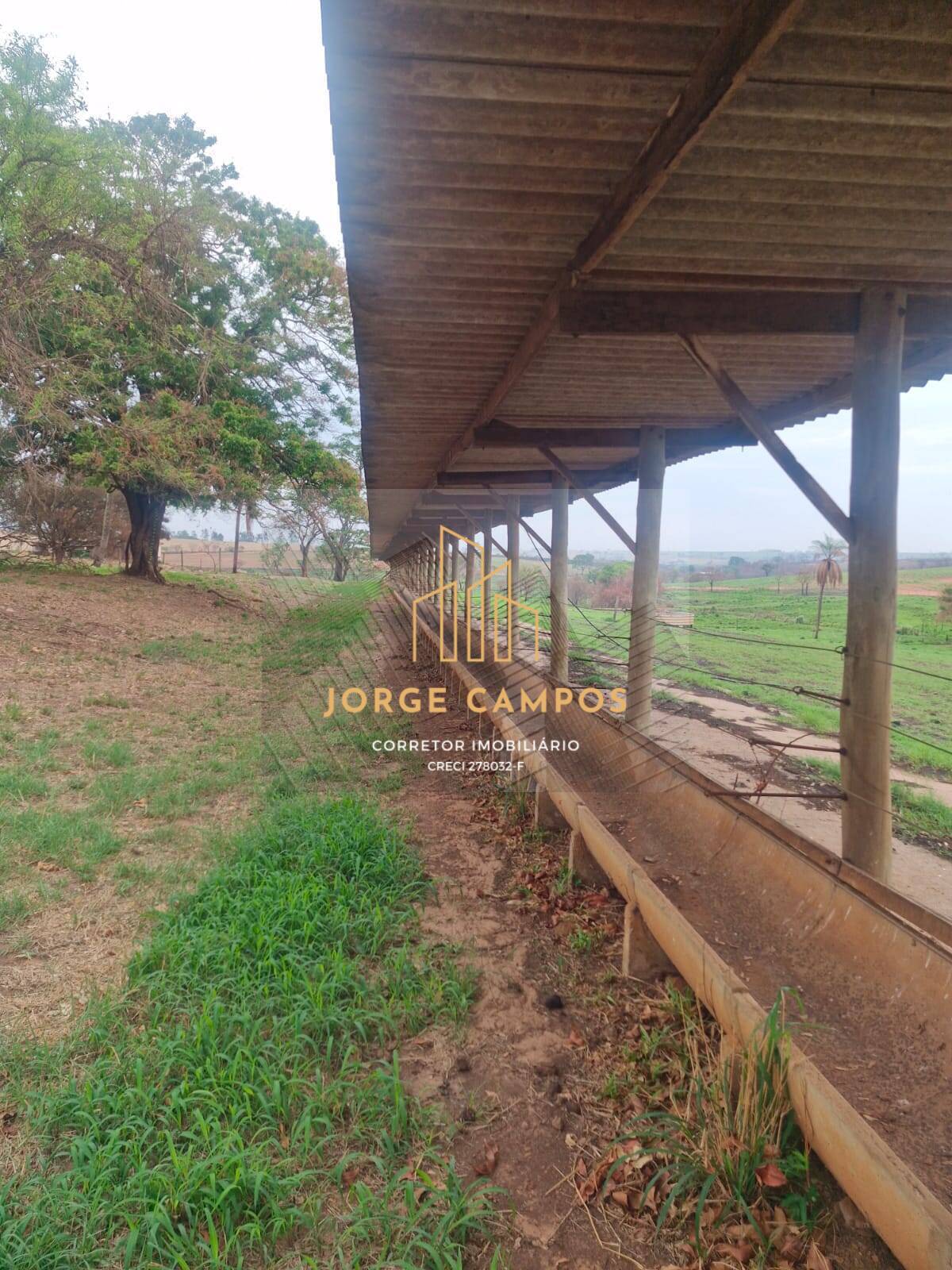 Fazenda à venda com 4 quartos, 53m² - Foto 12
