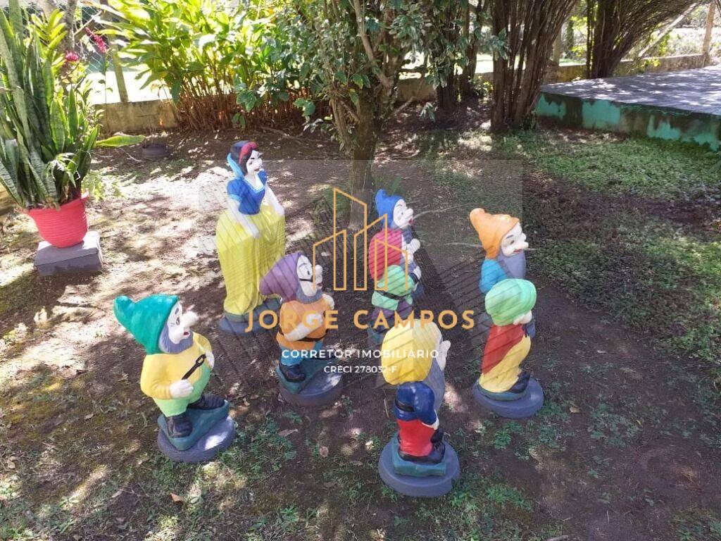 Chácara à venda com 3 quartos, 300m² - Foto 42