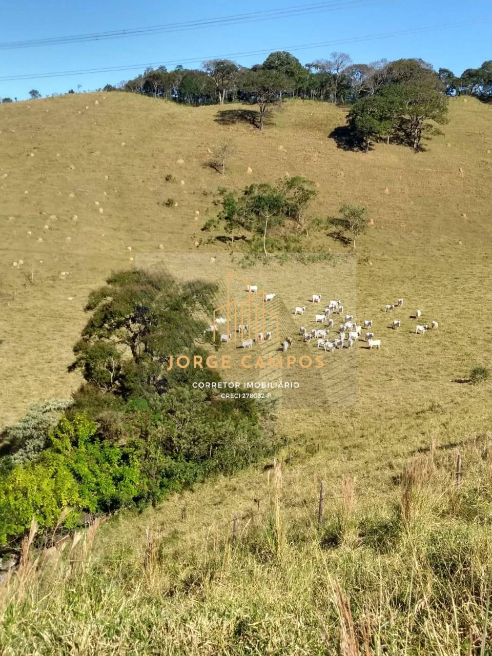 Sítio, 2 quartos, 25 m² - Foto 1