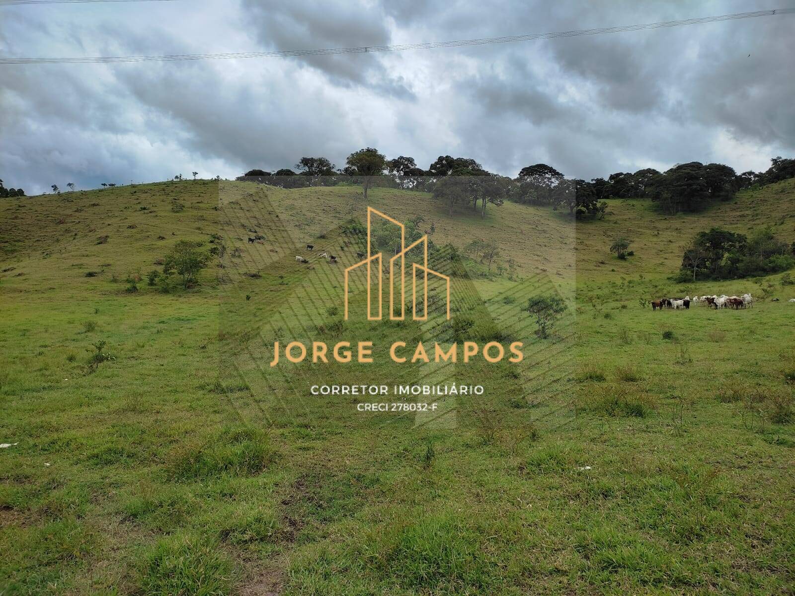 Sítio, 2 quartos, 25 m² - Foto 2