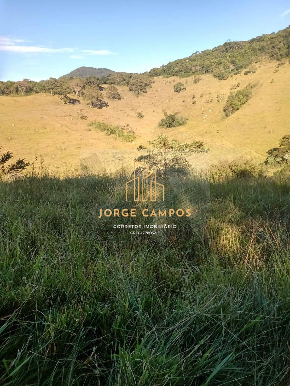 Sítio, 2 quartos, 25 m² - Foto 3