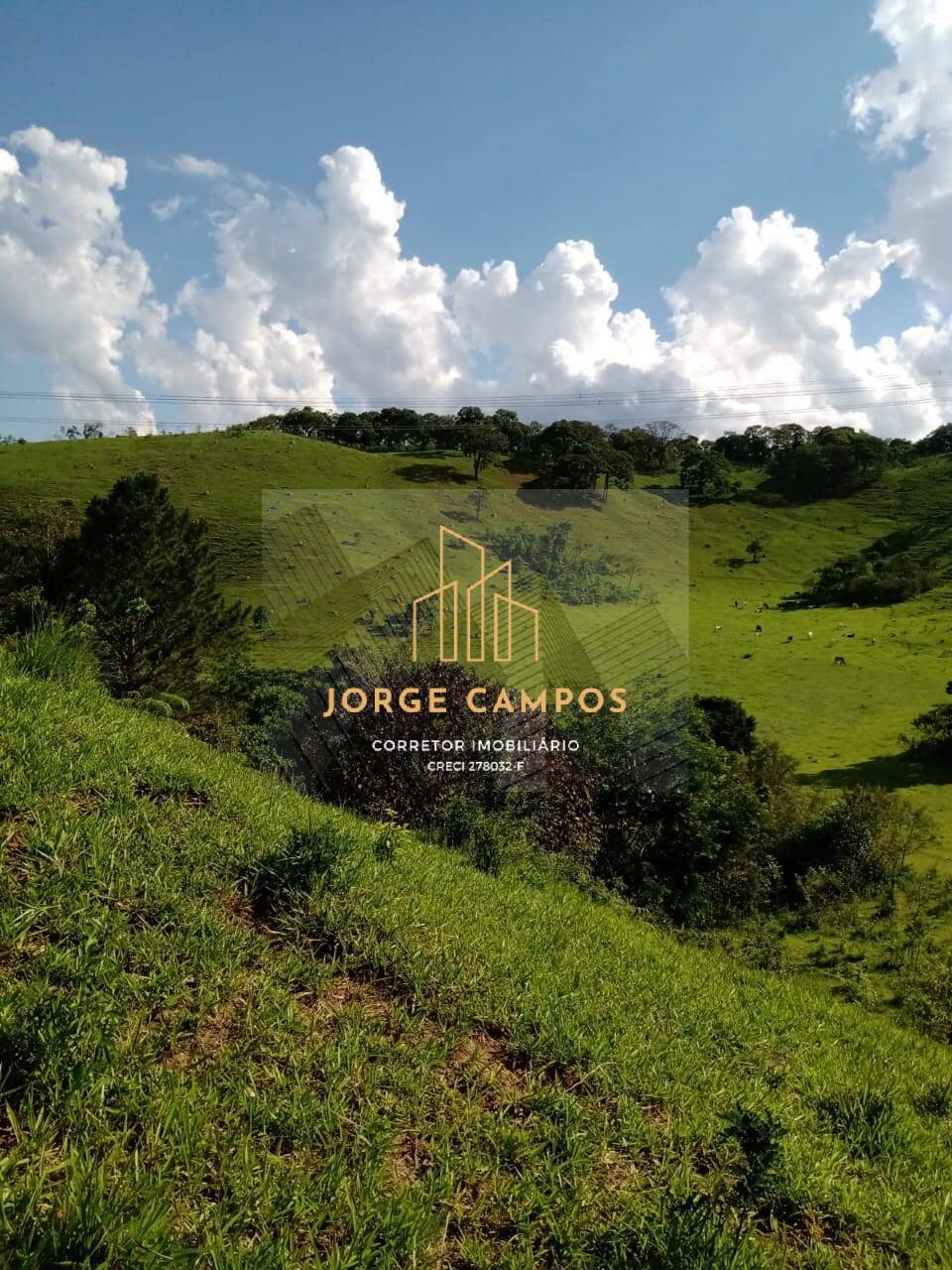 Sítio, 2 quartos, 25 m² - Foto 4