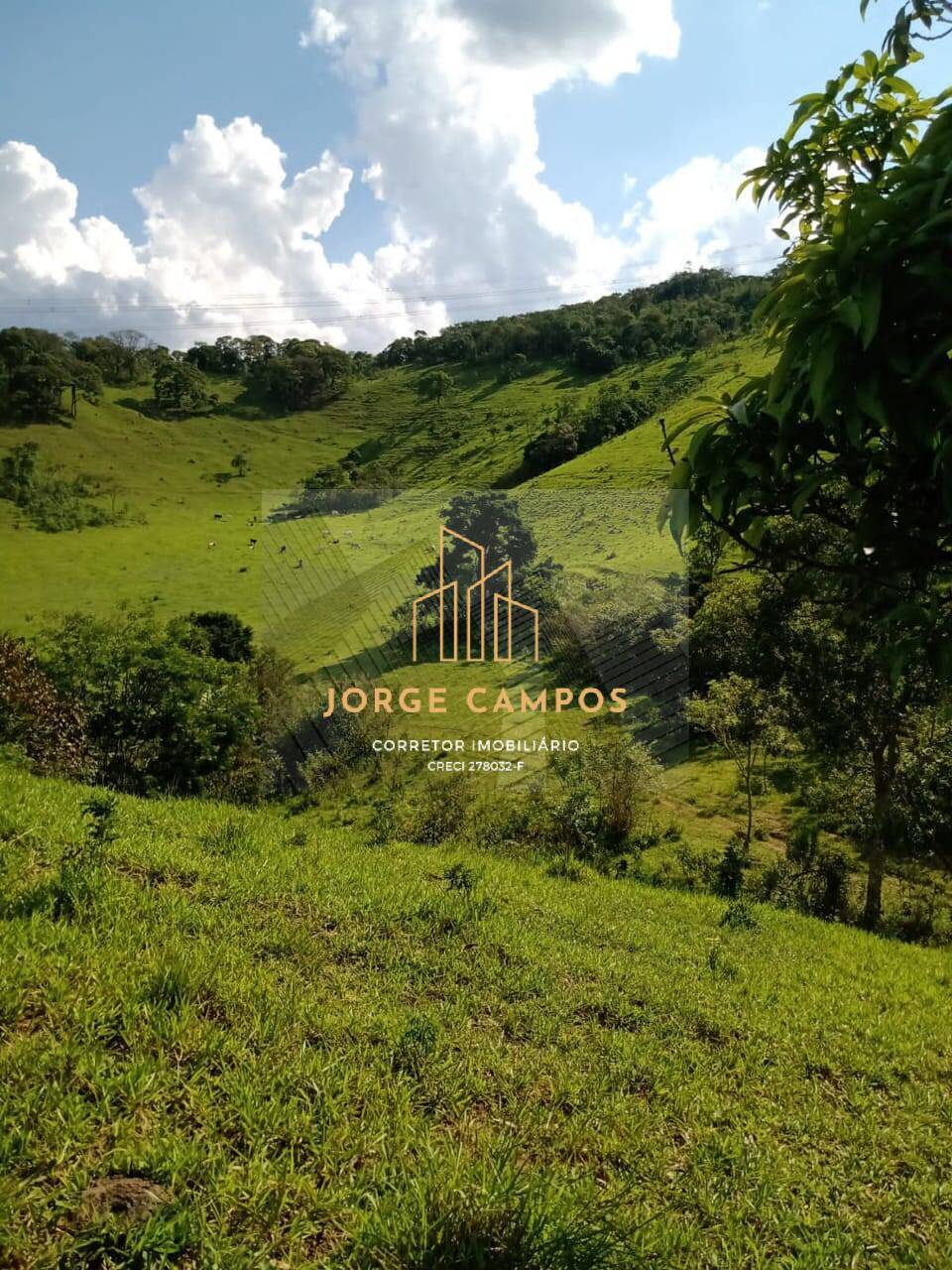 Sítio, 2 quartos, 25 m² - Foto 7