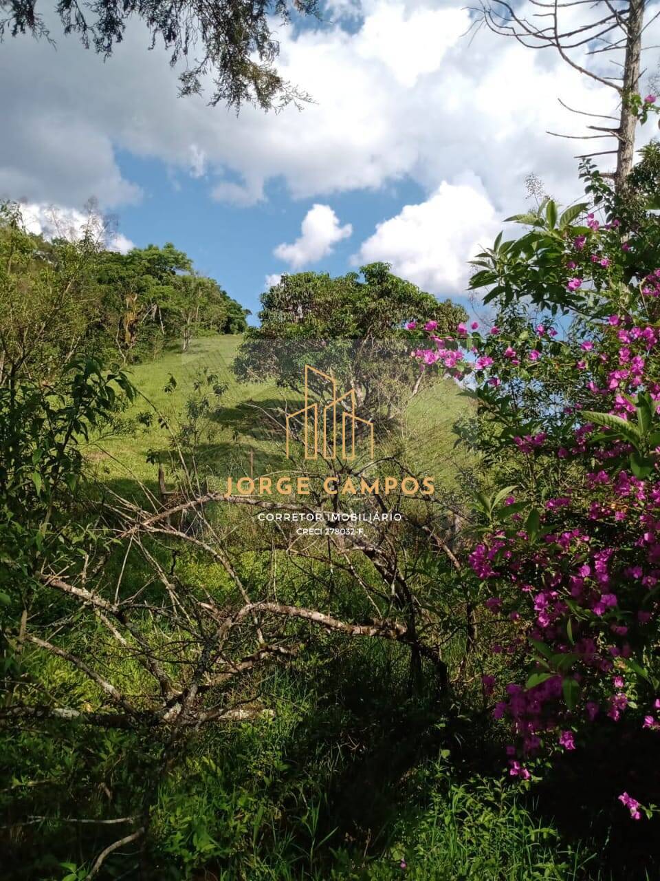 Sítio, 2 quartos, 25 m² - Foto 9