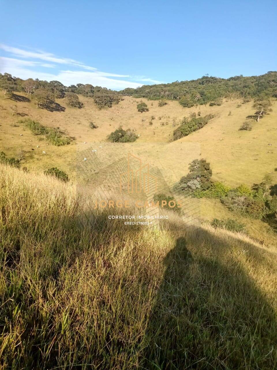 Sítio, 2 quartos, 25 m² - Foto 8