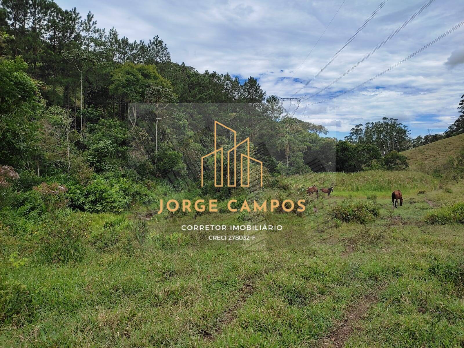 Sítio, 2 quartos, 25 m² - Foto 11