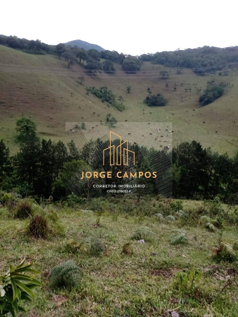 Sítio, 2 quartos, 25 m² - Foto 14