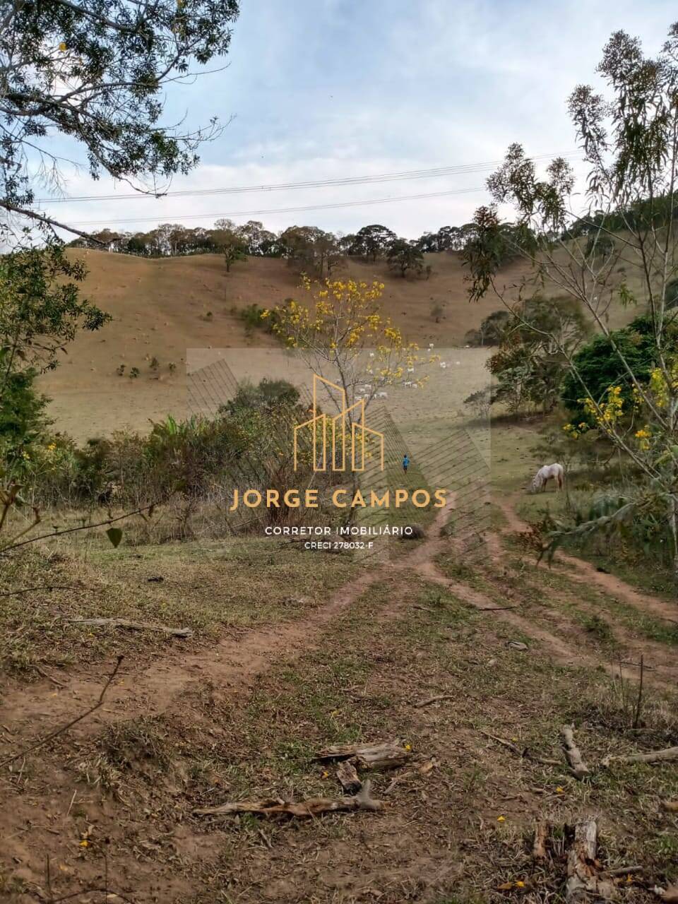 Sítio, 2 quartos, 25 m² - Foto 16