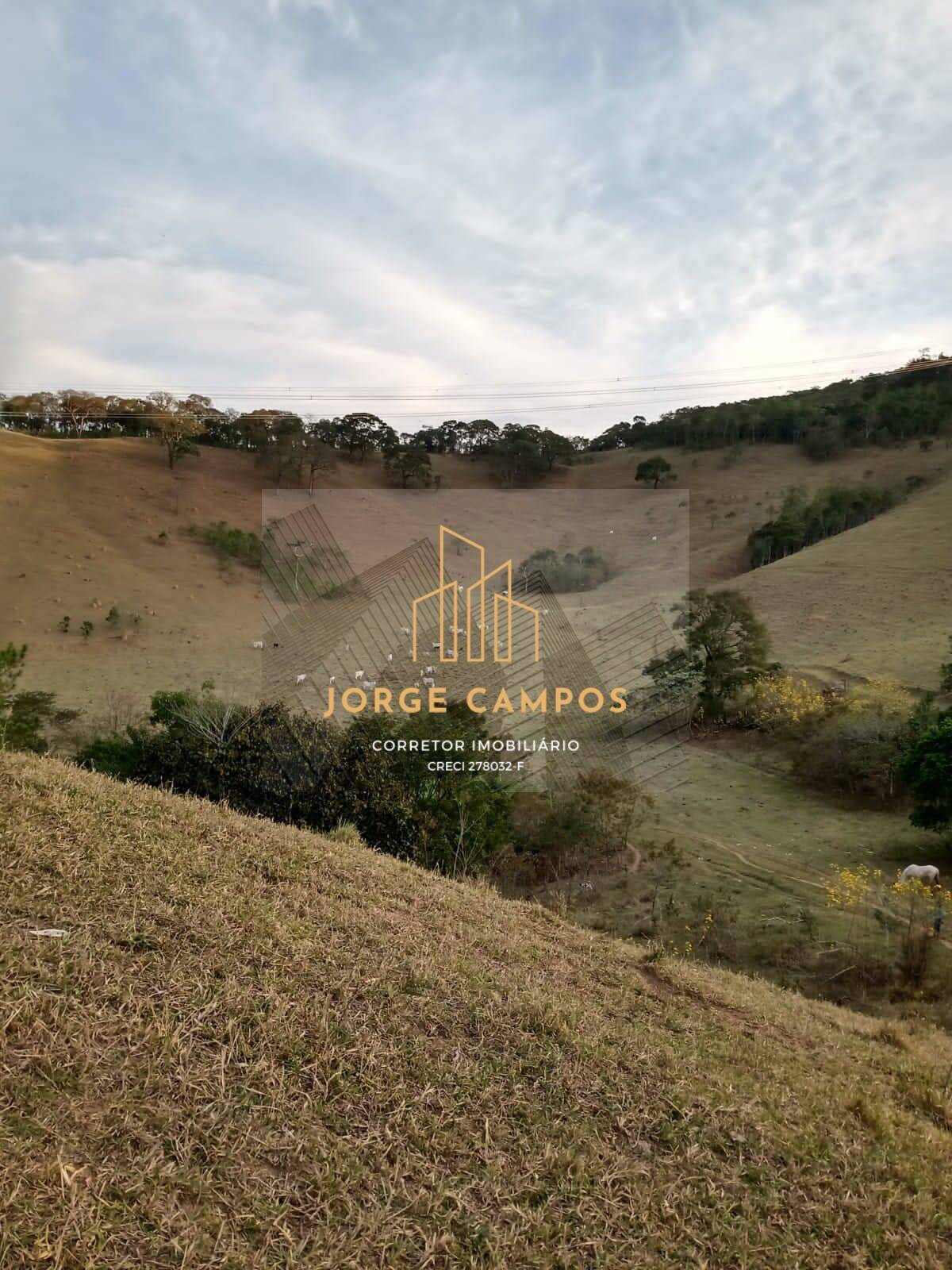 Sítio, 2 quartos, 25 m² - Foto 20