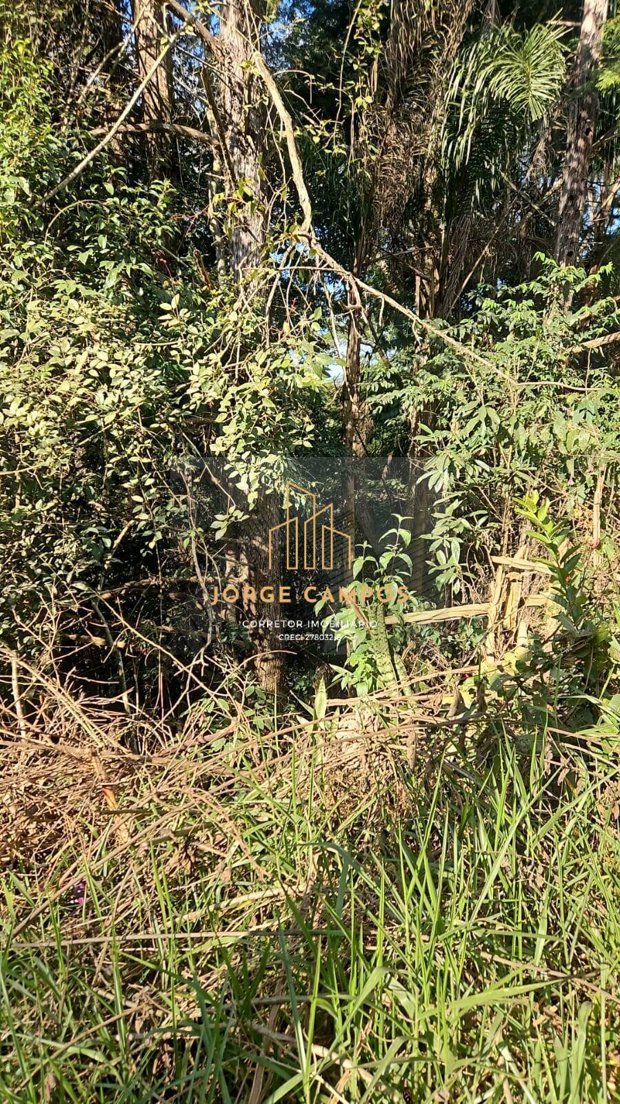 Terreno à venda, 5000m² - Foto 2