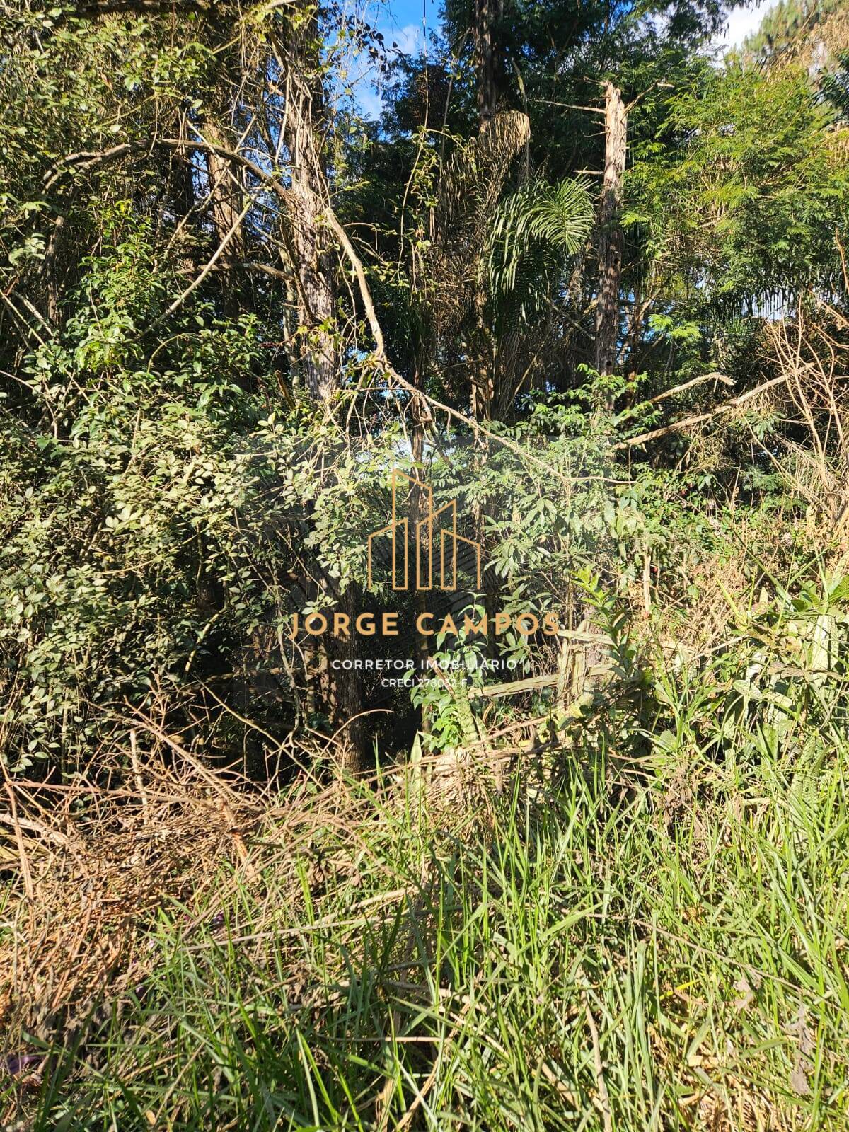 Terreno à venda, 5000m² - Foto 4