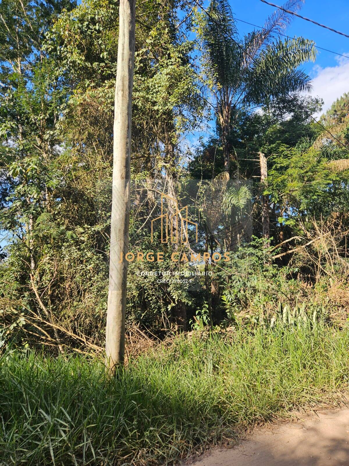 Terreno à venda, 5000m² - Foto 7