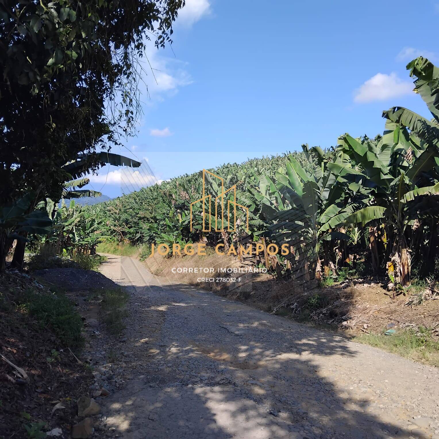 Terreno à venda, 125m² - Foto 1