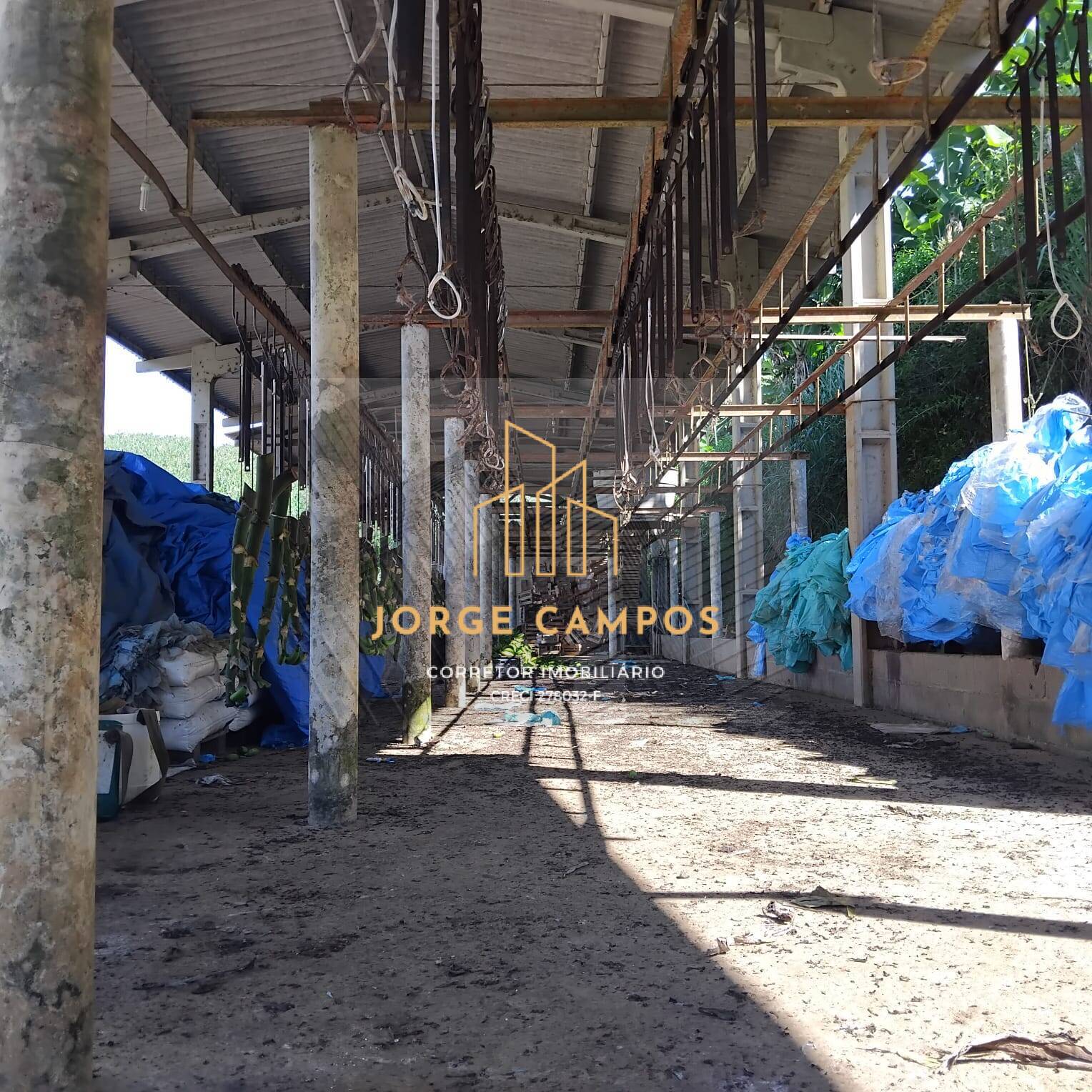 Terreno à venda, 125m² - Foto 3