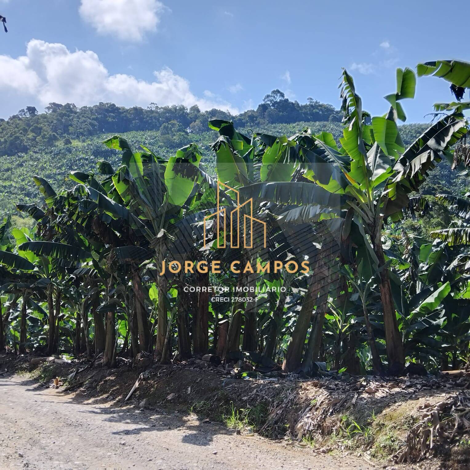 Terreno à venda, 125m² - Foto 10