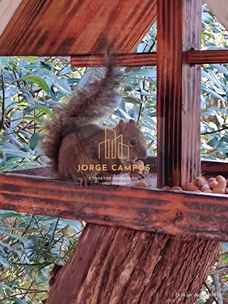 Prédio Inteiro, 950 m² - Foto 11