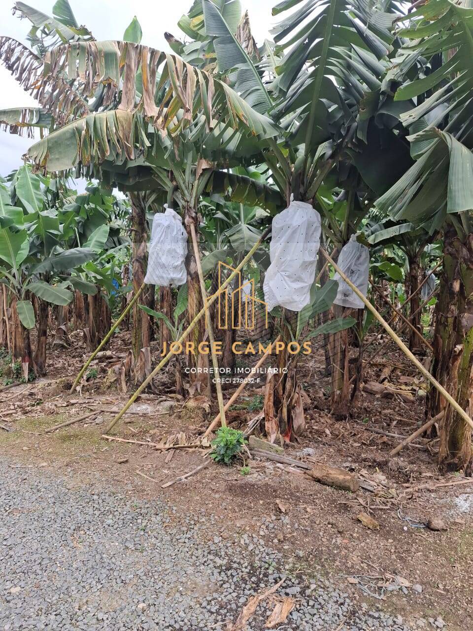 Sítio, 2 quartos, 5 m² - Foto 8