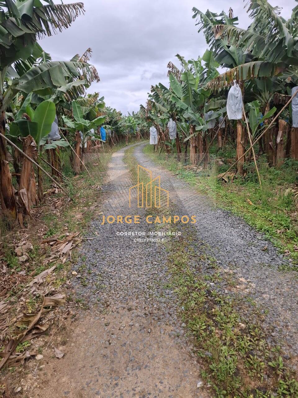 Sítio, 2 quartos, 5 m² - Foto 6