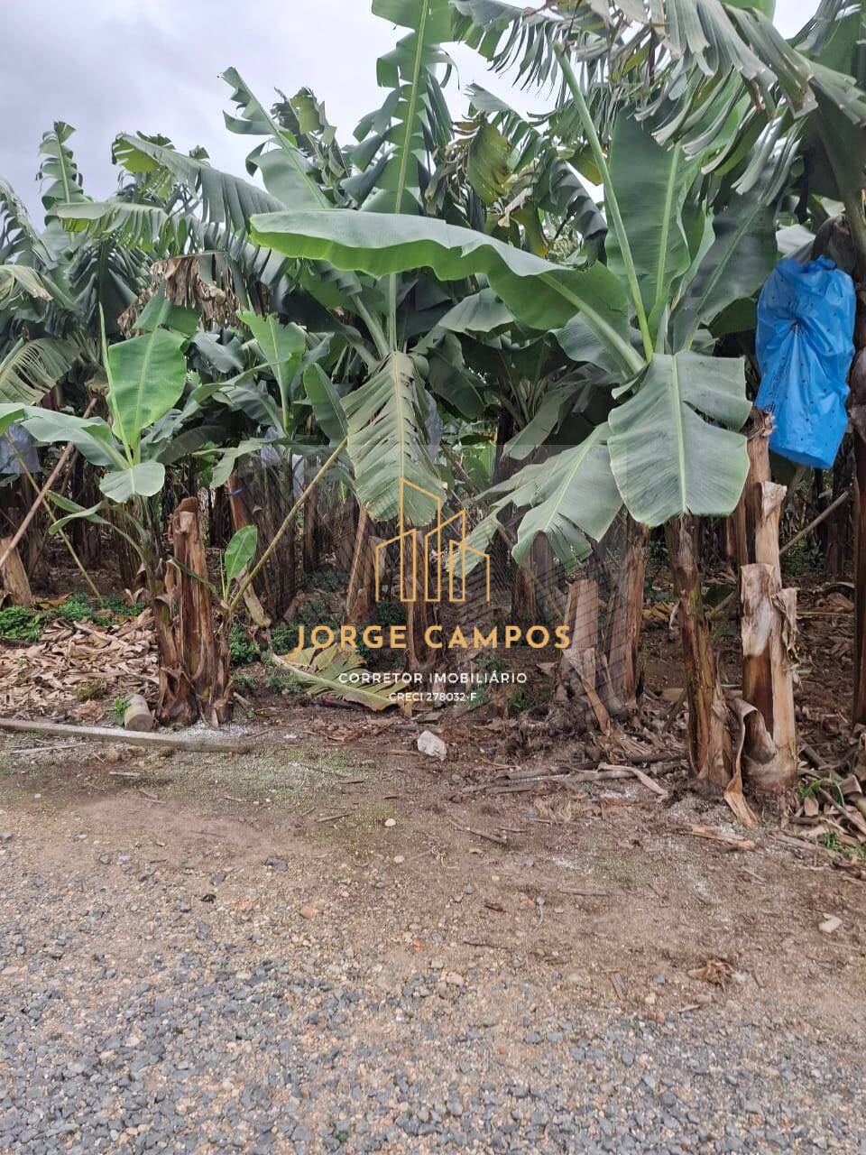 Sítio, 2 quartos, 5 m² - Foto 11