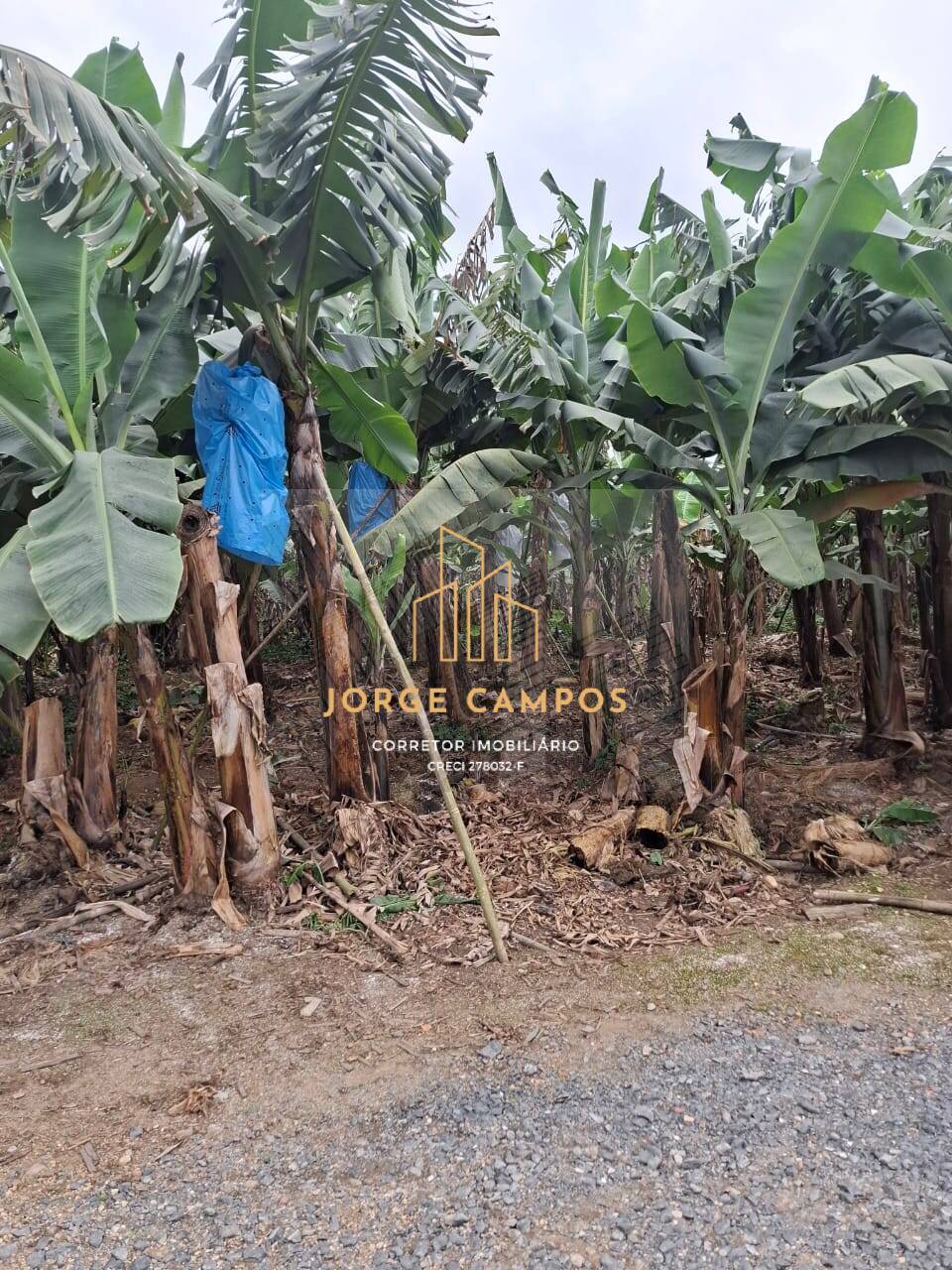 Sítio, 2 quartos, 5 m² - Foto 12