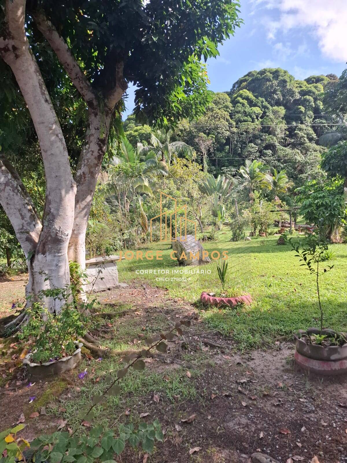 Fazenda, 250 m² - Foto 5