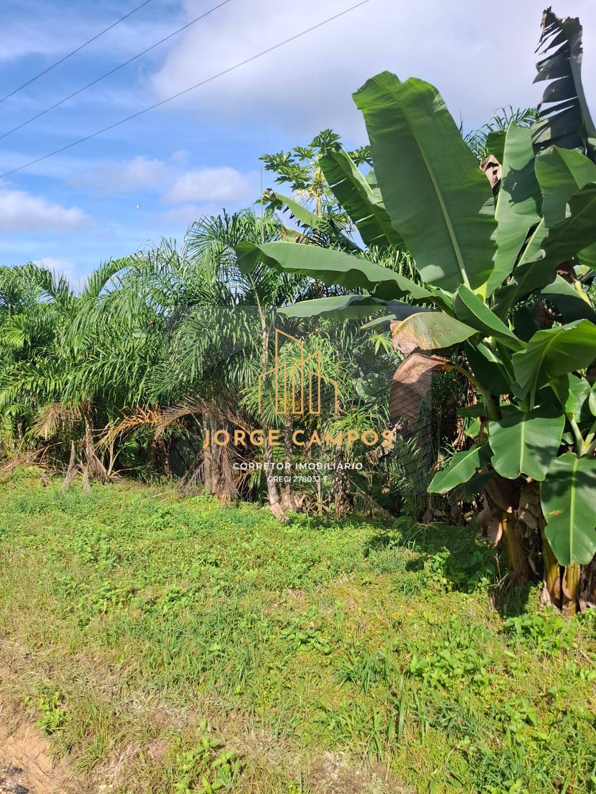 Fazenda, 250 m² - Foto 11